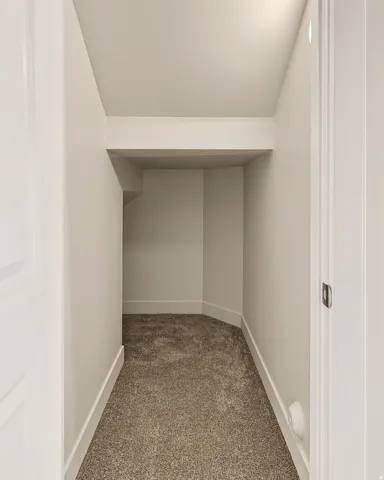 Recessed storage area featuring neutral carpeting and white wall finishes
