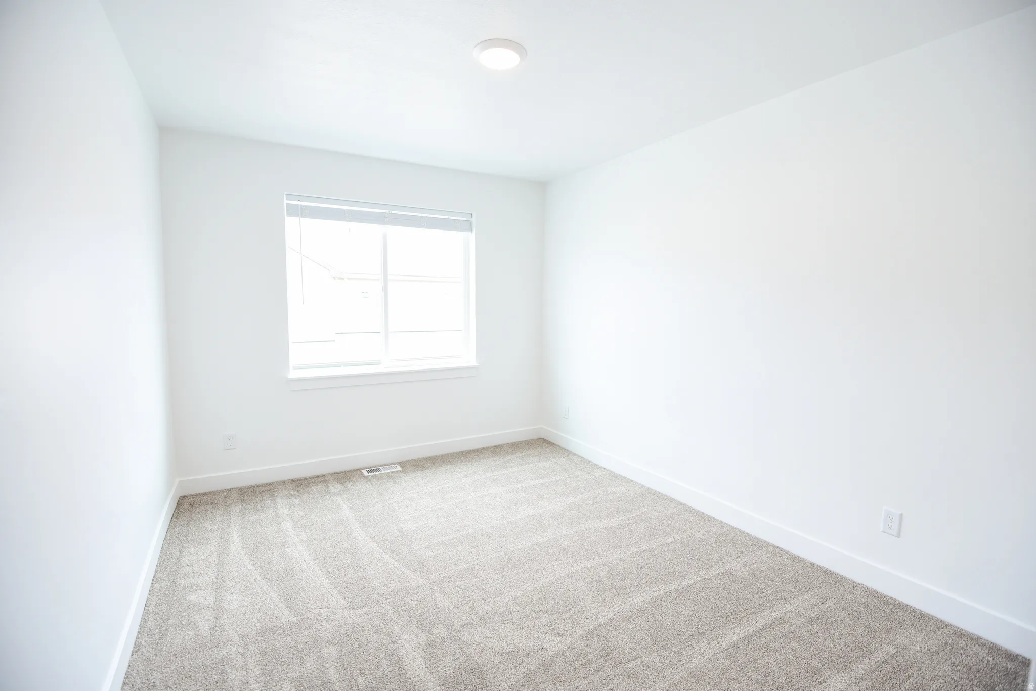 Bright, naturally lit bedroom featuring expansive windows, neutral wall finishes, and neutral-toned carpet flooring throughout