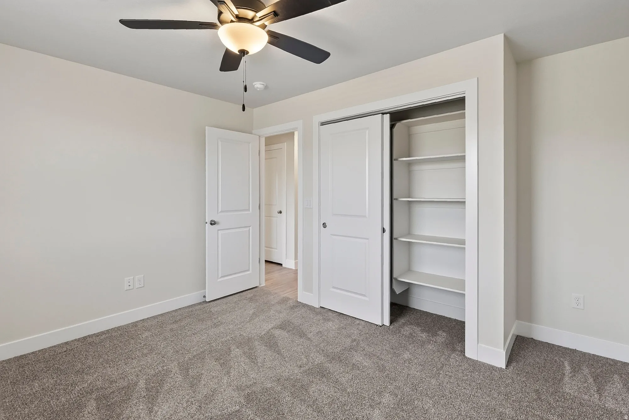 Recessed closet with built-in shelving, carpet flooring, and a ceiling fan with integrated lighting