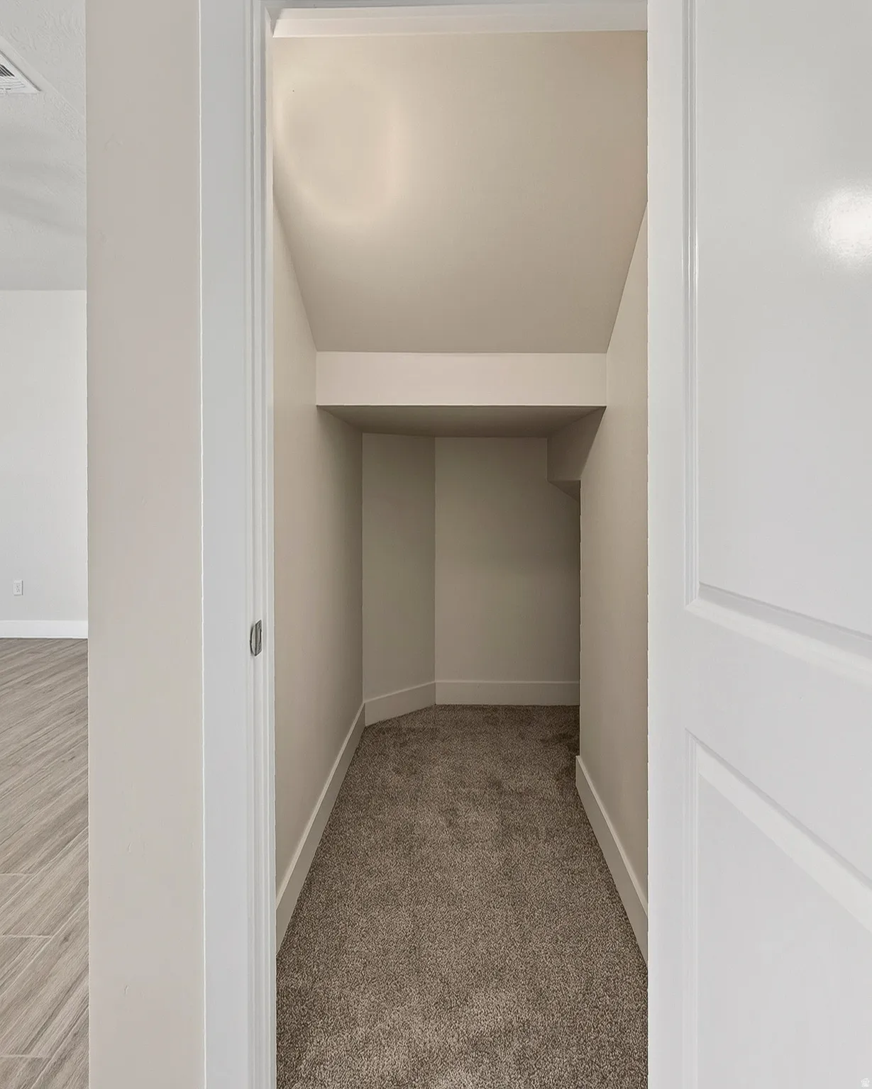 Carpeted storage area with painted walls and trim