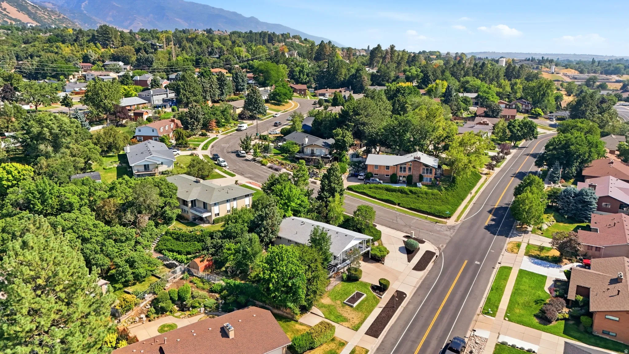 Aerial perspective of a well-treed residential neighborhood featuring established mature landscaping, curved street architecture, and single-family homes with varied rooflines situated on spacious lots