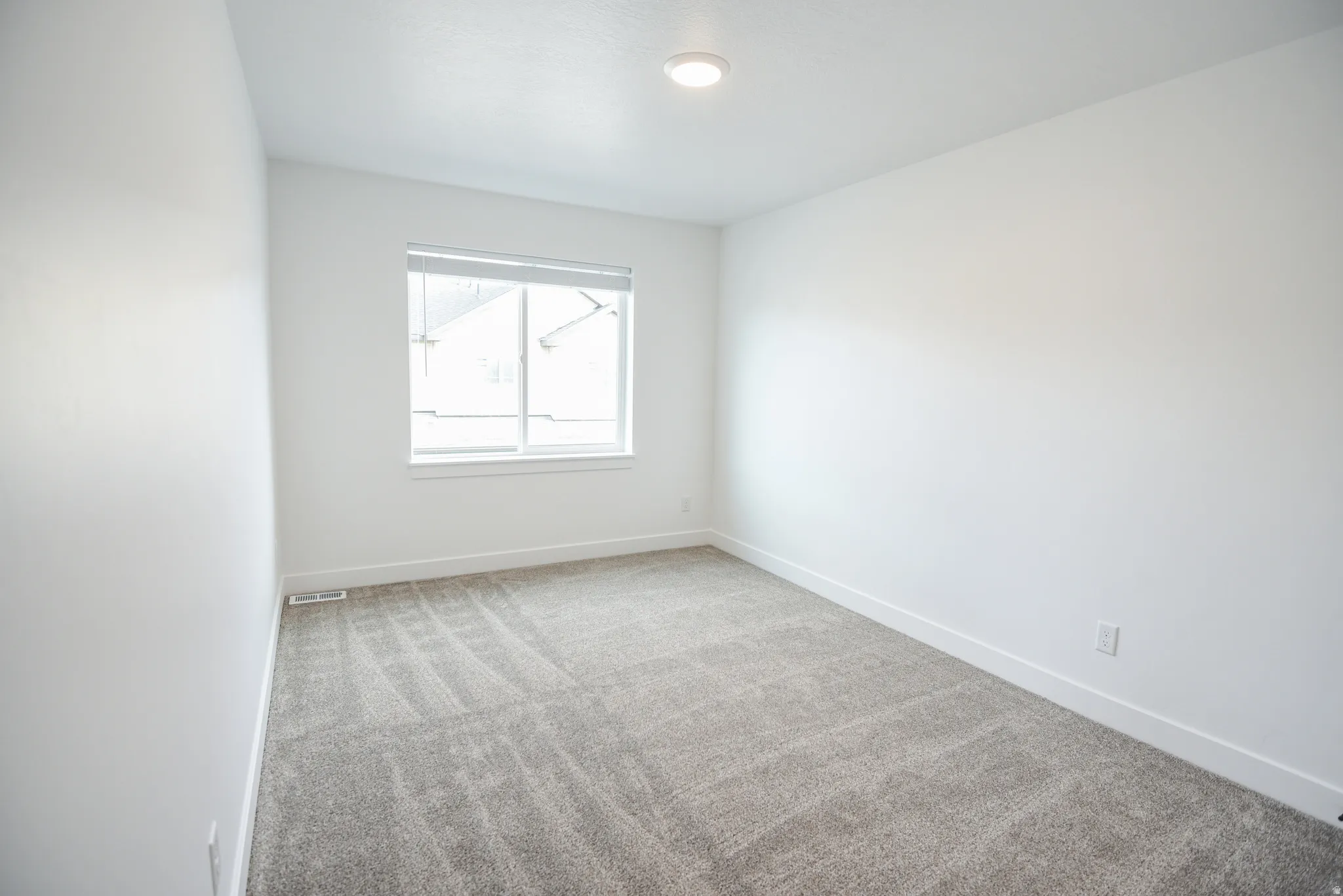 Neutral gray carpet flooring