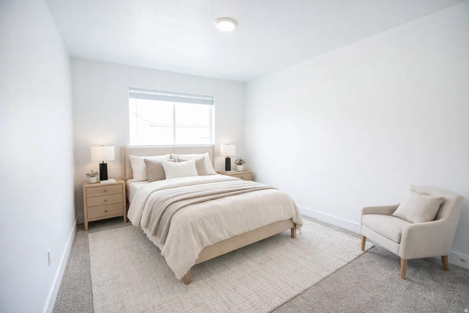 Carpet flooring throughout, single window with blinds, ceiling-mounted light fixture, white wall finishes
