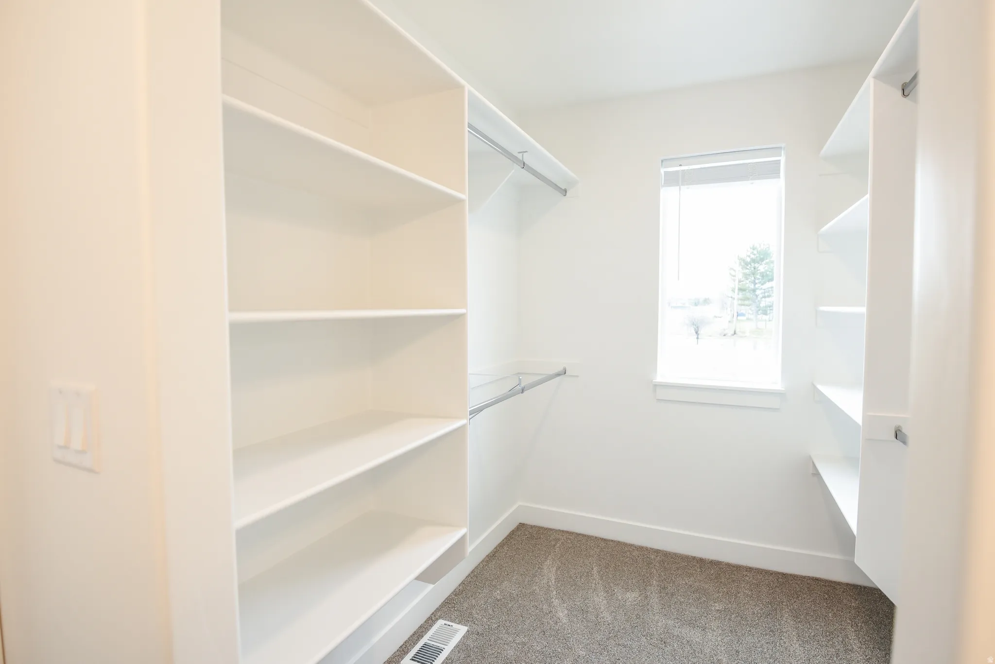 Built-in shelving, hanging rods, window, and carpeted flooring