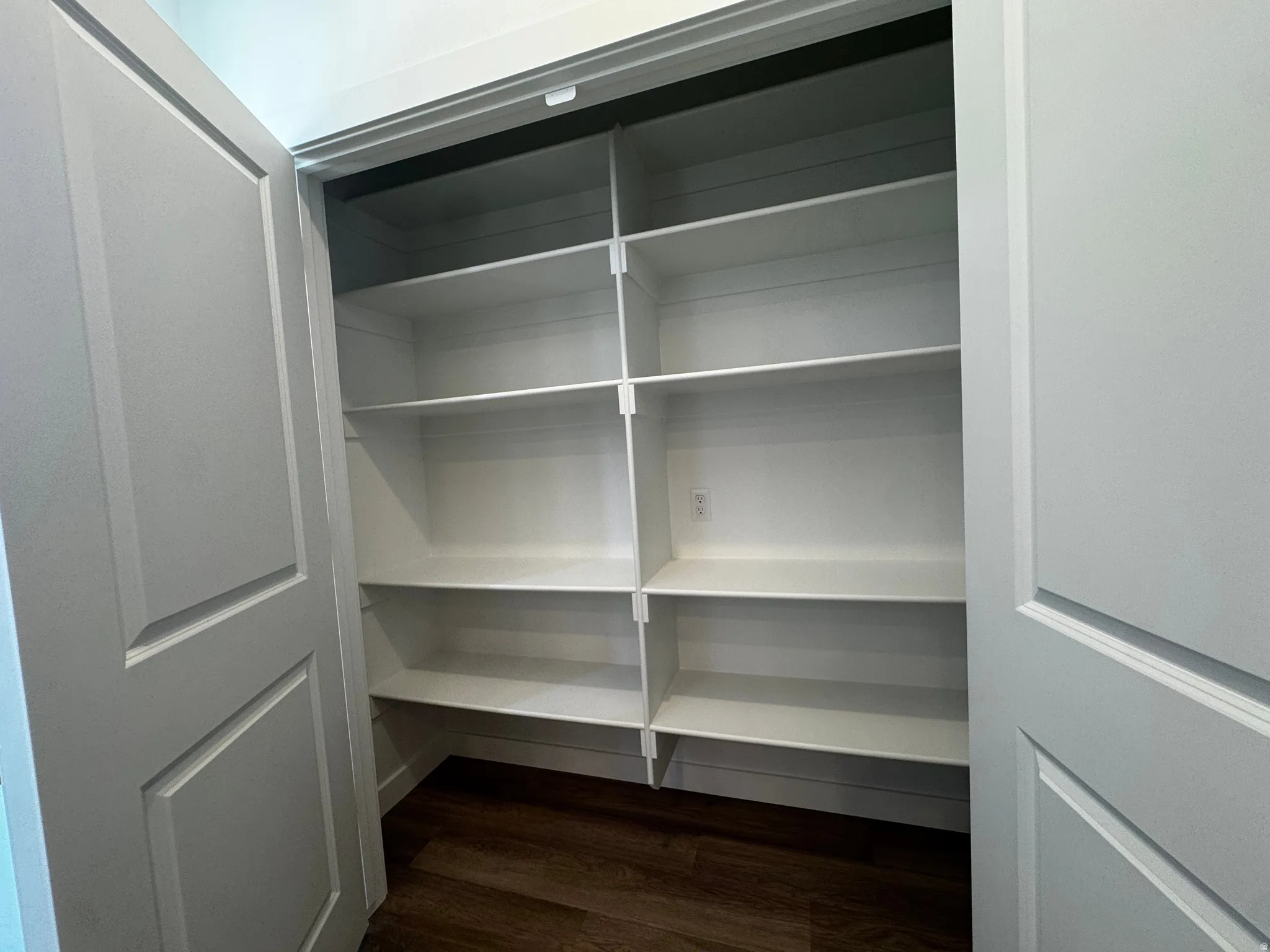 Recessed shelving with multiple fixed shelves, wood-finish flooring, and white paneled doors