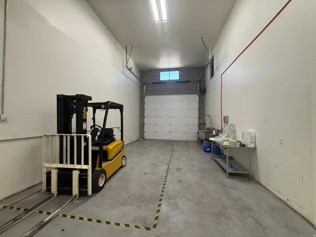 Concrete flooring with painted walls, overhead fluorescent lighting, and a roll-up door