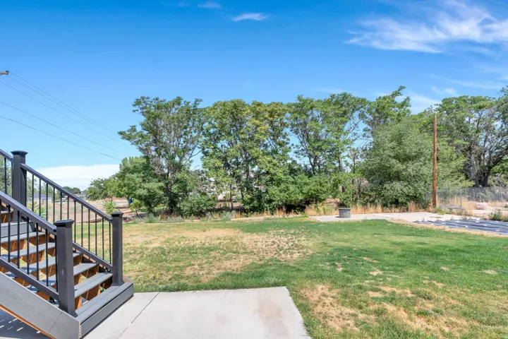 Expansive backyard offering mature tree-lined landscaping, established lawn, and concrete patio with modern metal railing
