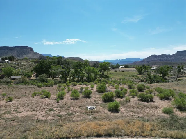 Expansive desert landscape featuring natural brush, mature trees, and distant mountainous terrain