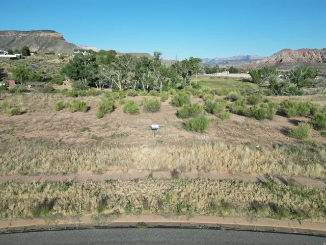 Expansive undeveloped lot with natural desert landscaping, mature trees, and mountainous terrain in the distance