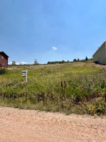 Expansive undeveloped lot with natural vegetation
