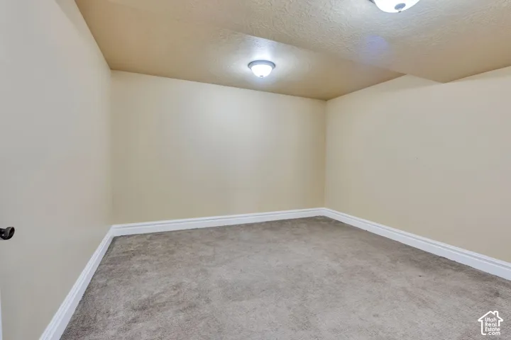 Neutral wall paint, textured ceiling, flush mount lighting, and carpeted flooring
