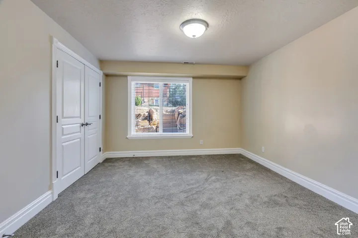 Recessed window, textured carpeting, double-door closet, and overhead lighting fixture
