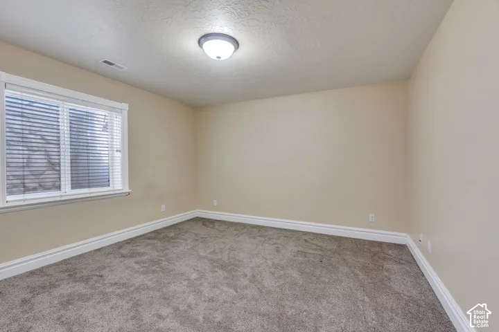 Neutral-toned walls, plush carpet, white trim, and a window with blinds