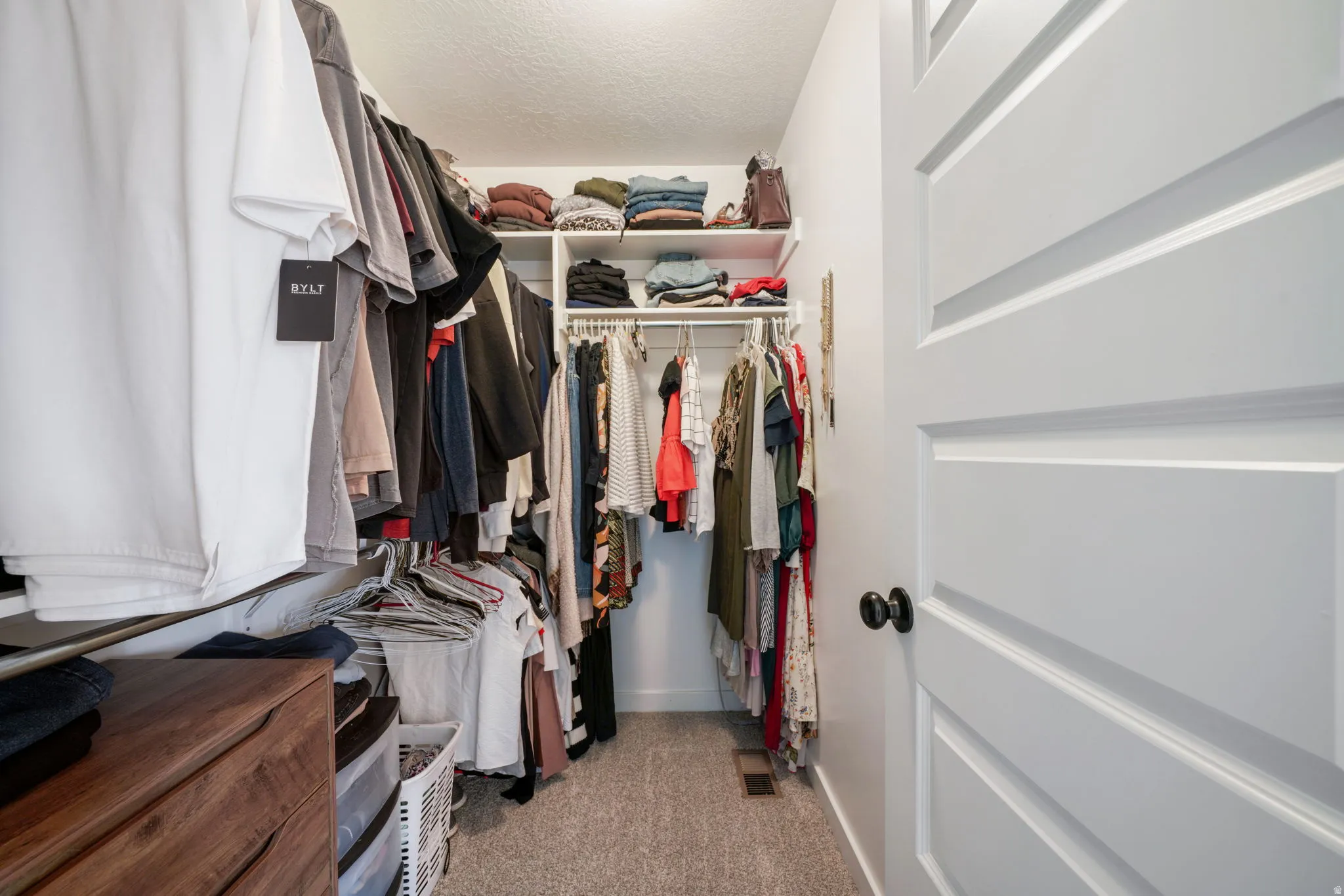Walk-in closet with built-in shelving, hanging rods, and carpet flooring
