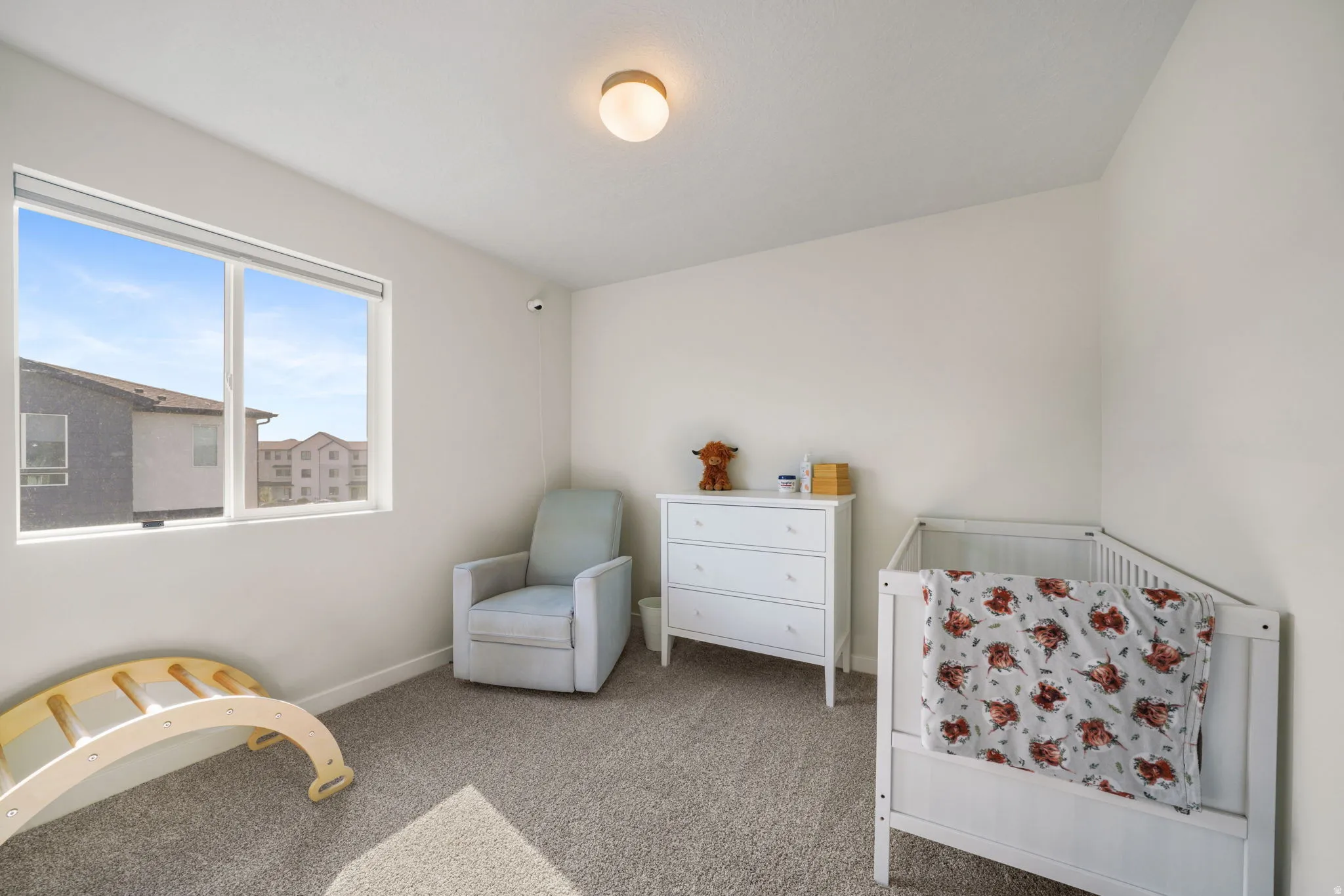 Generous double-pane window, neutral wall paint, ceiling-mounted light fixture, and textured carpeting