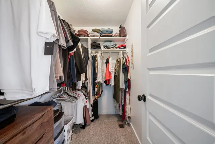 Walk-in closet with built-in shelving, hanging rods, and carpet flooring