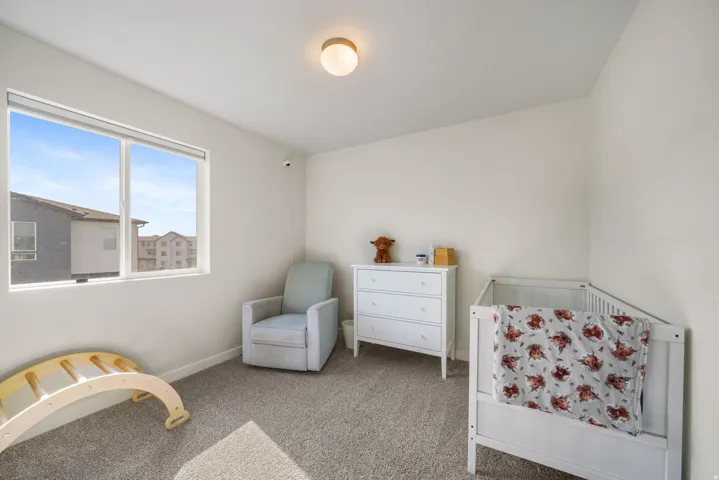 Generous double-pane window, neutral wall paint, ceiling-mounted light fixture, and textured carpeting