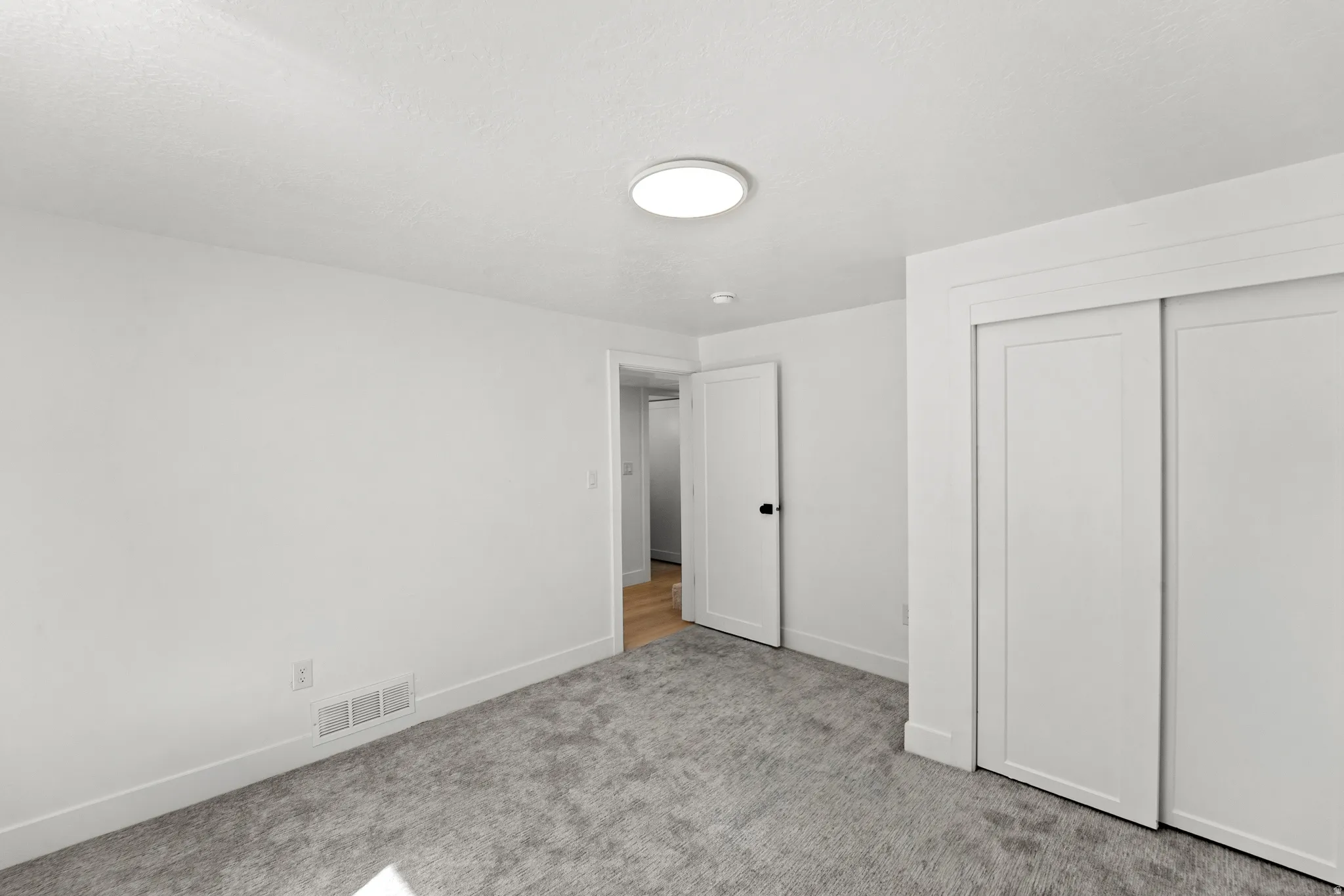 Light gray carpet, white walls, flush-mount ceiling light, white sliding closet doors, and a white interior door with black hardware