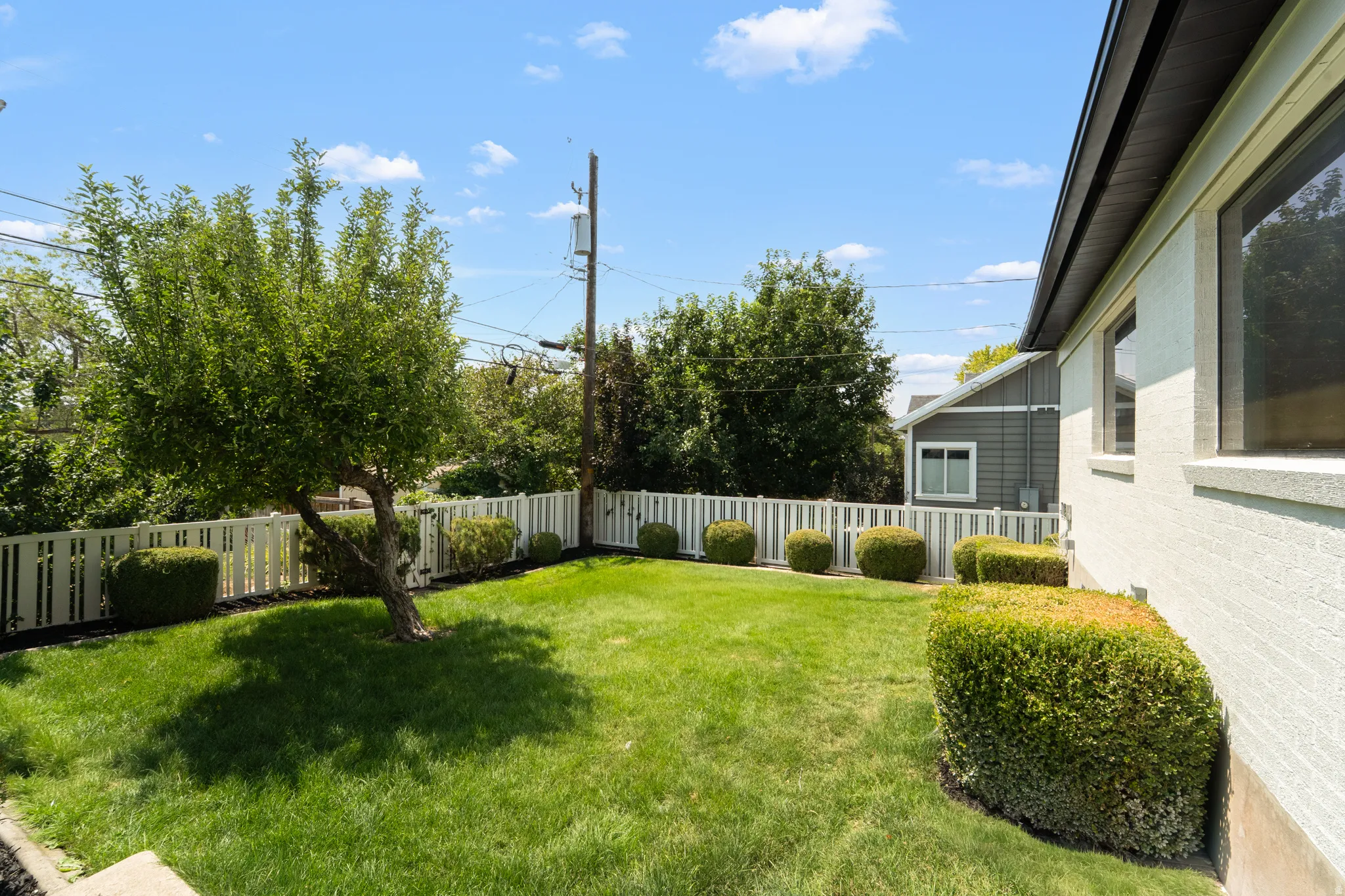 Expansive backyard featuring a manicured lawn, established tree, white picket fence, and trimmed shrubs