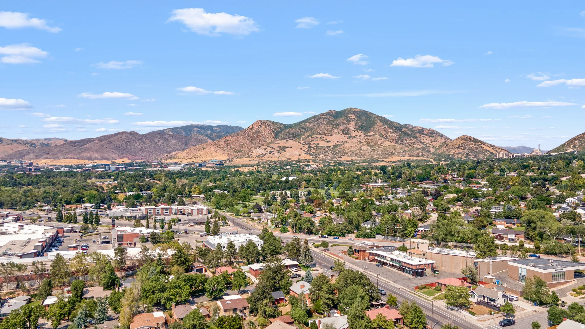 Urban landscape with a mountainous backdrop, extensive tree canopy, and residential areas