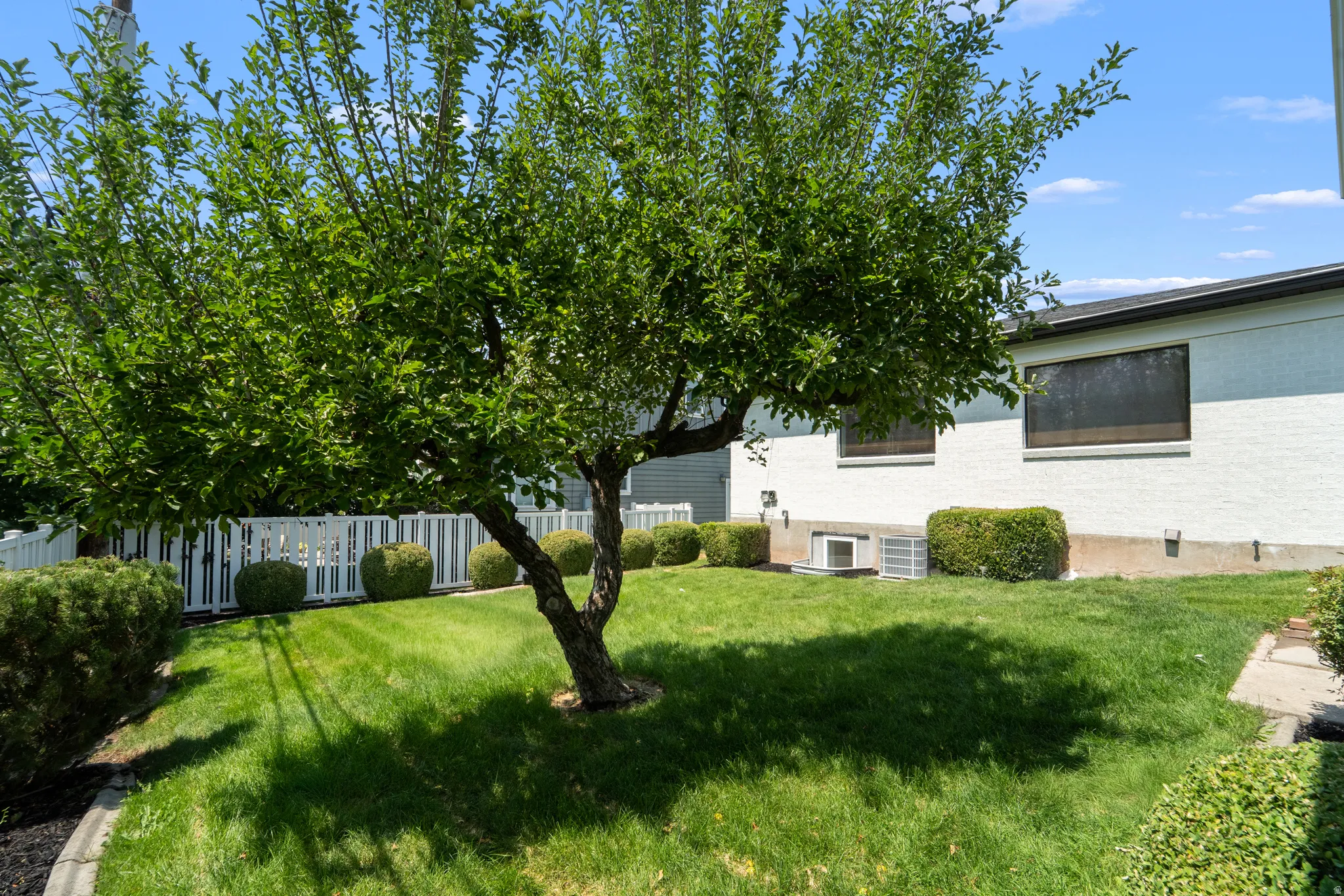 Grassed yard with a mature tree, white picket fencing, and established shrubbery along the property line
