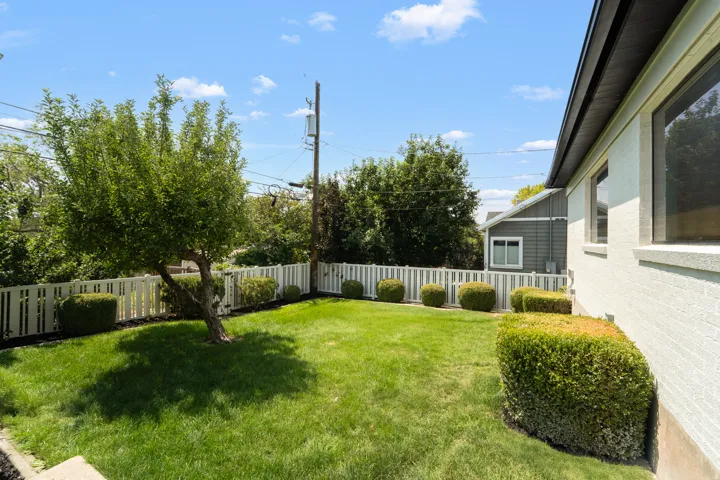 Expansive backyard featuring a manicured lawn, established tree, white picket fence, and trimmed shrubs