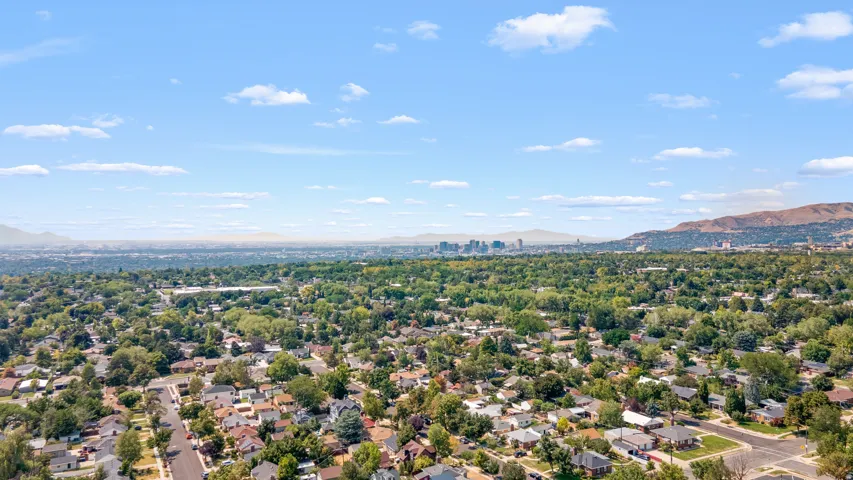 Expansive neighborhood setting with established street network and verdant tree canopy