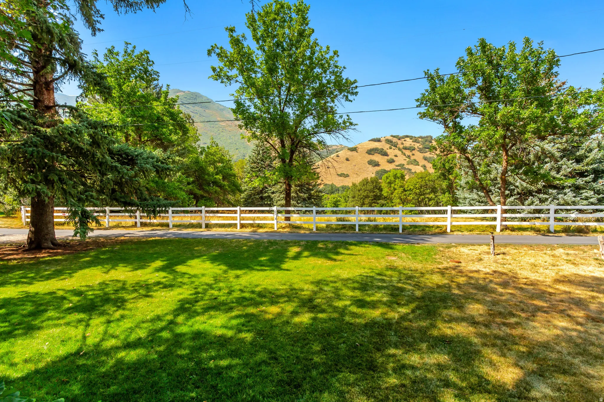 Front view from fire pit area