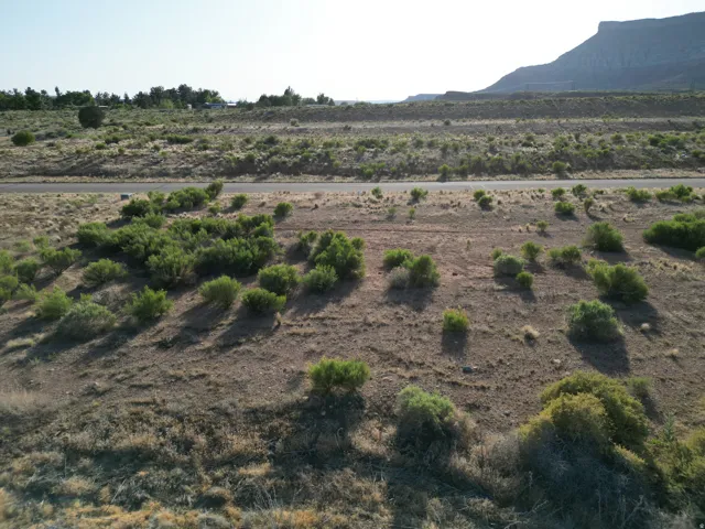 Expansive desert landscape featuring natural brush and a paved road