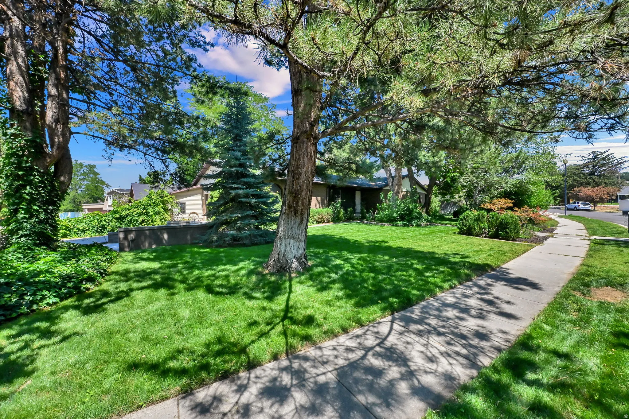 Manicured lawn, mature trees, concrete sidewalk, established landscaping, and retaining wall