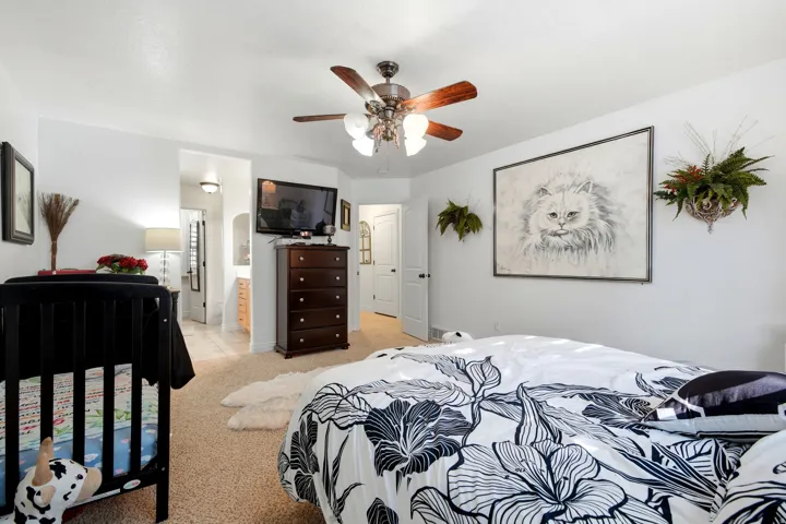 Ceiling fan with integrated lighting