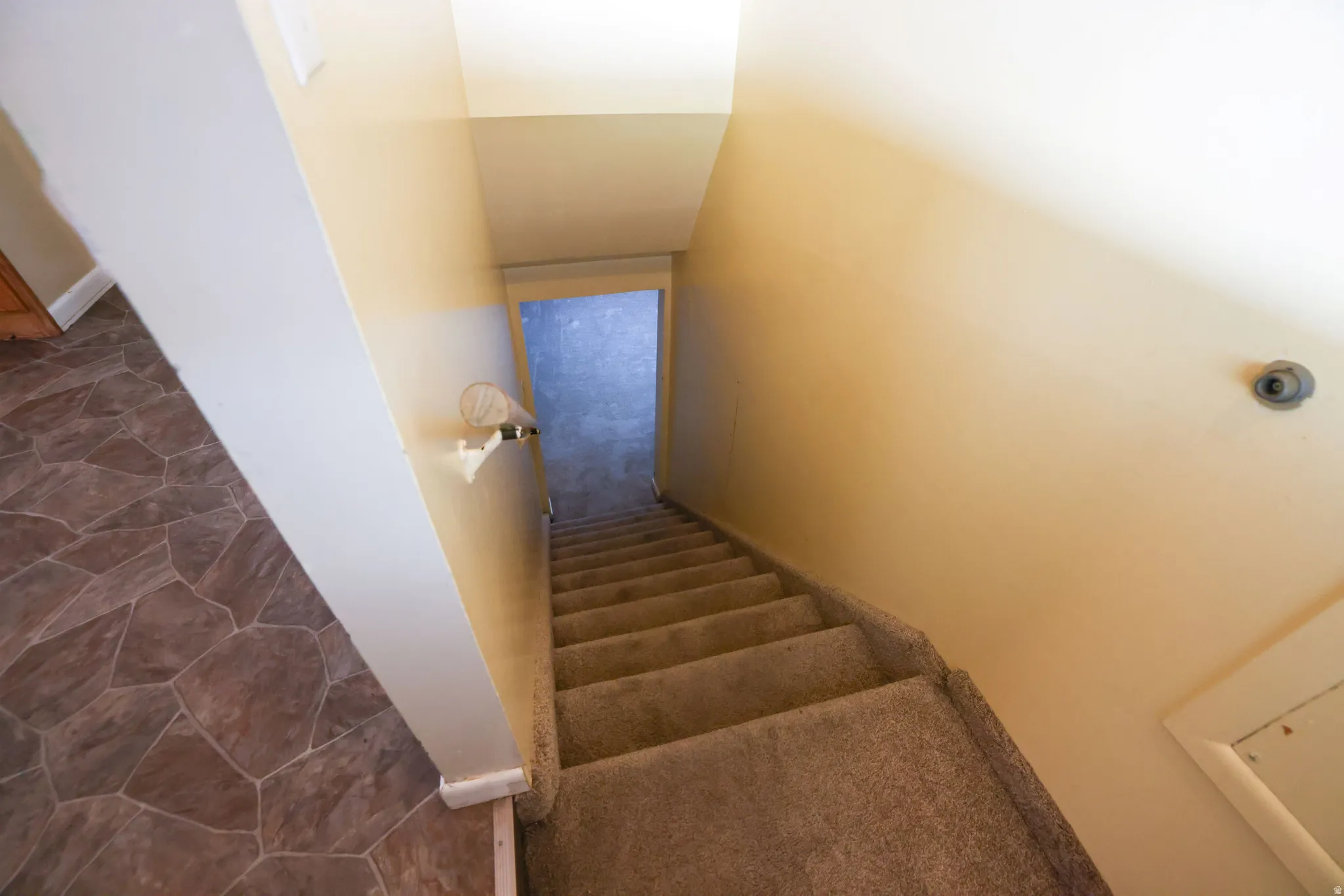 Carpeted staircase with a white handrail, leading to an finished basement