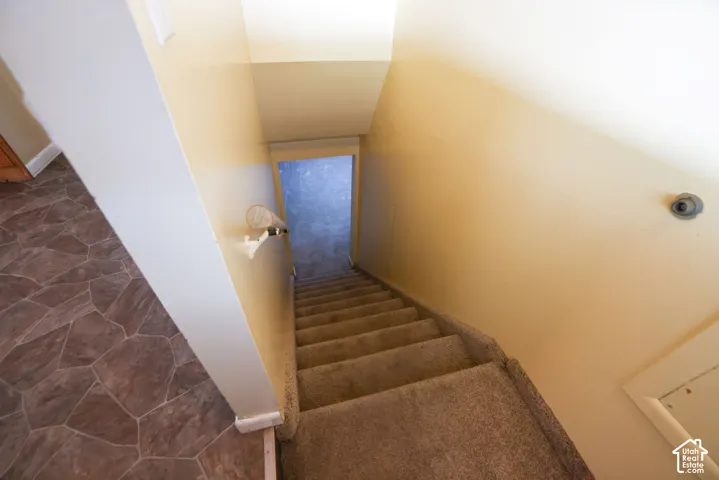 Carpeted staircase with a white handrail, leading to an finished basement