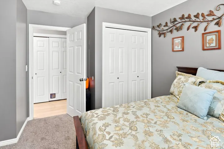 Grey wall paint with white trim, two white bi-fold closet doors, and light-colored wood-finish flooring in the adjacent space