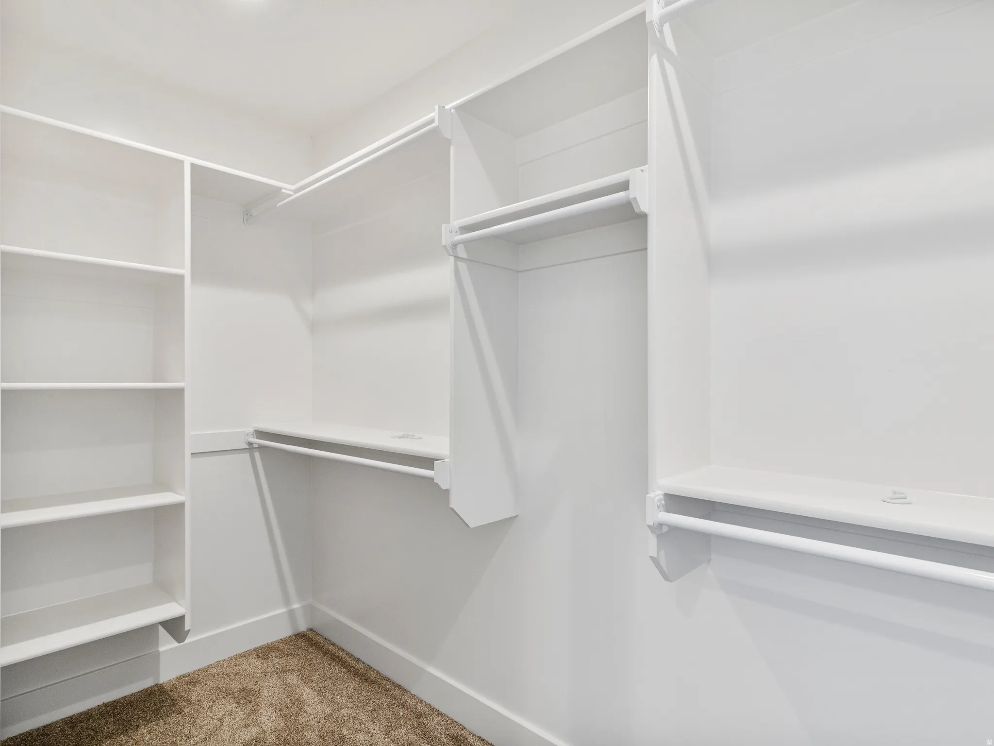 Walk-in closet featuring built-in shelving, multiple hanging rods, and neutral-toned carpeting