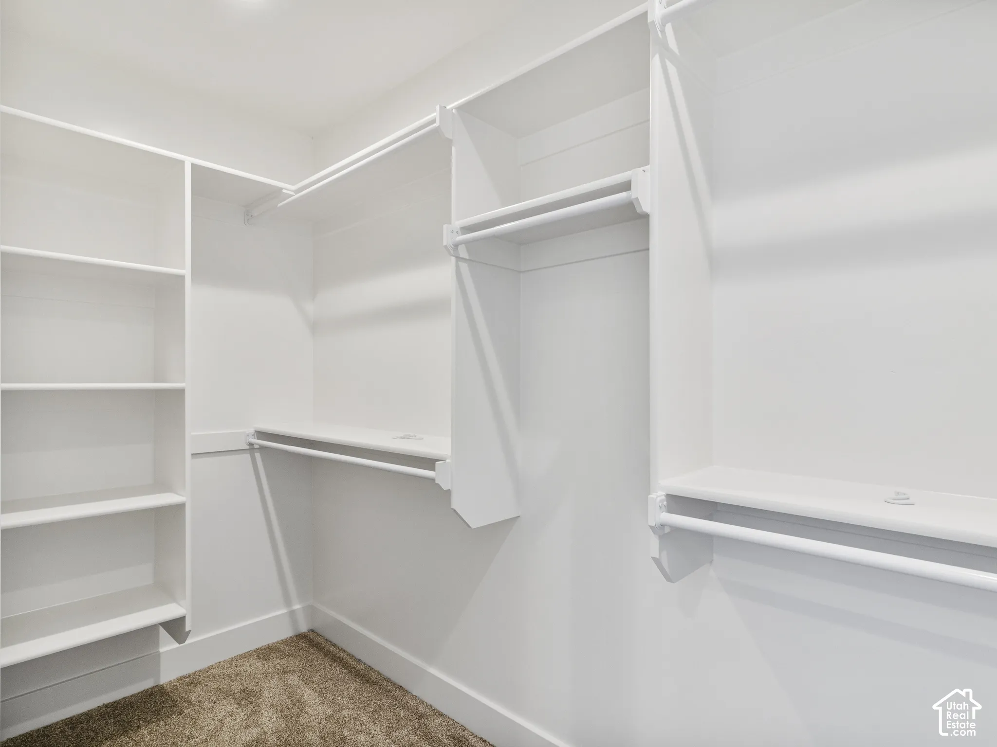 Walk-in closet featuring built-in shelving, multiple hanging rods, and neutral-toned carpeting