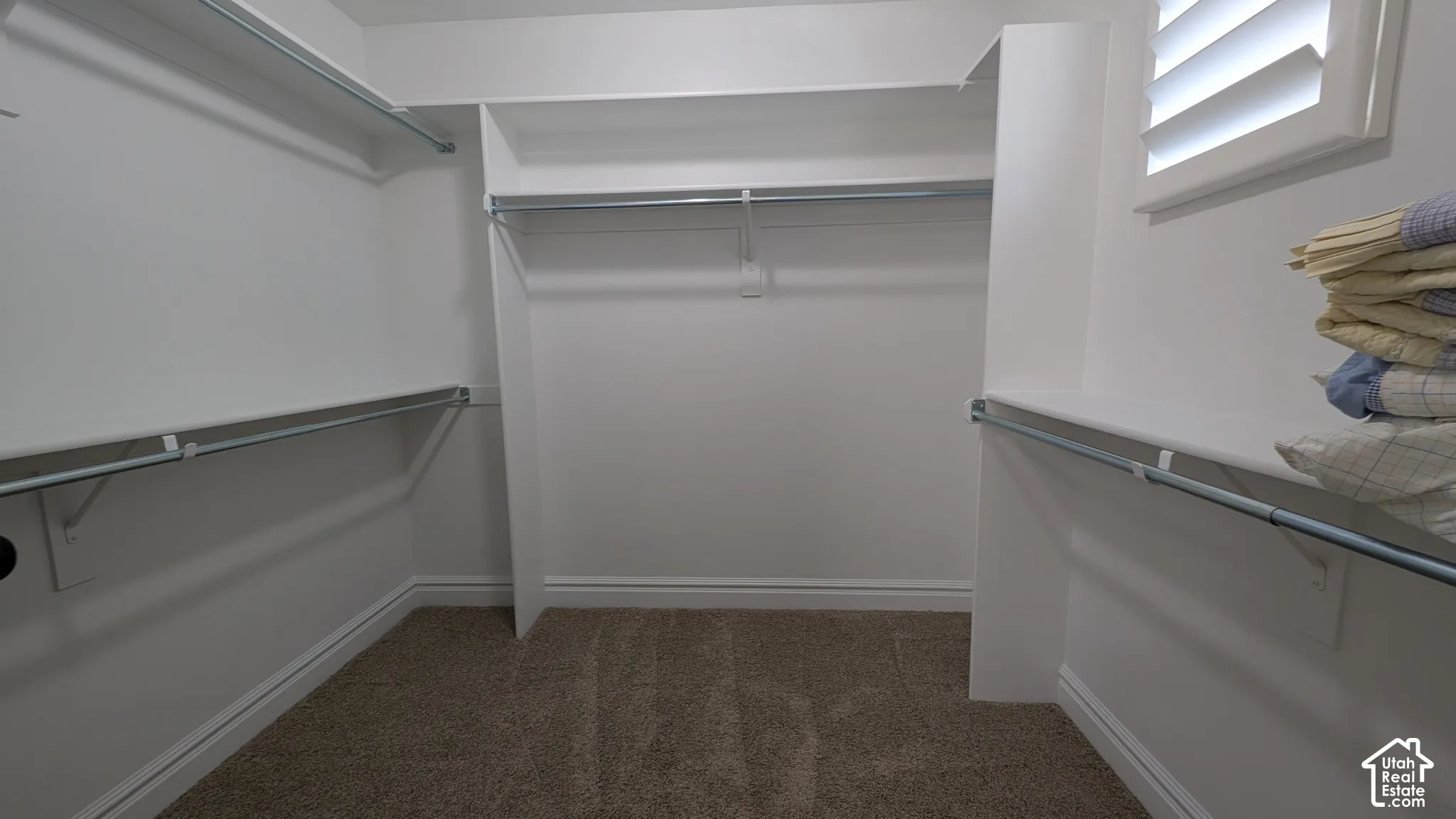 Spacious Bedroom  Walk-in closet featuring carpet flooring, built-in shelving, and hanging rods
