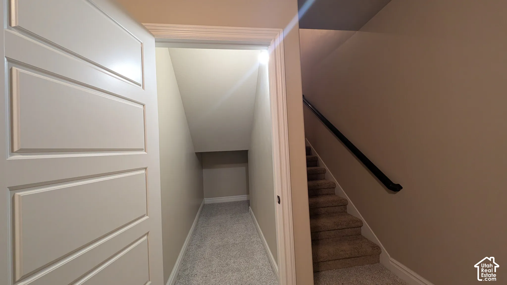 Fun for play or storage, a finished under stair room with Paneled door, built-in shelving, and carpeted flooring