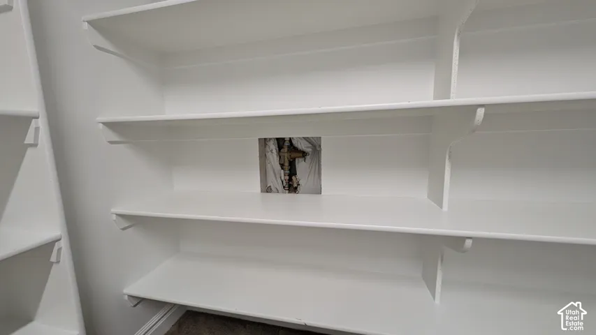 Water shut off valve