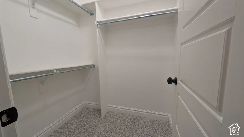 Walk-in closet with multi-level hanging rods, built-in shelving, carpet flooring, and white paneled door with matte black hardware