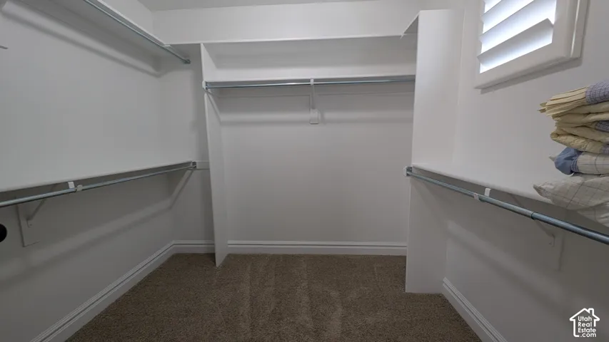 Spacious Bedroom  Walk-in closet featuring carpet flooring, built-in shelving, and hanging rods