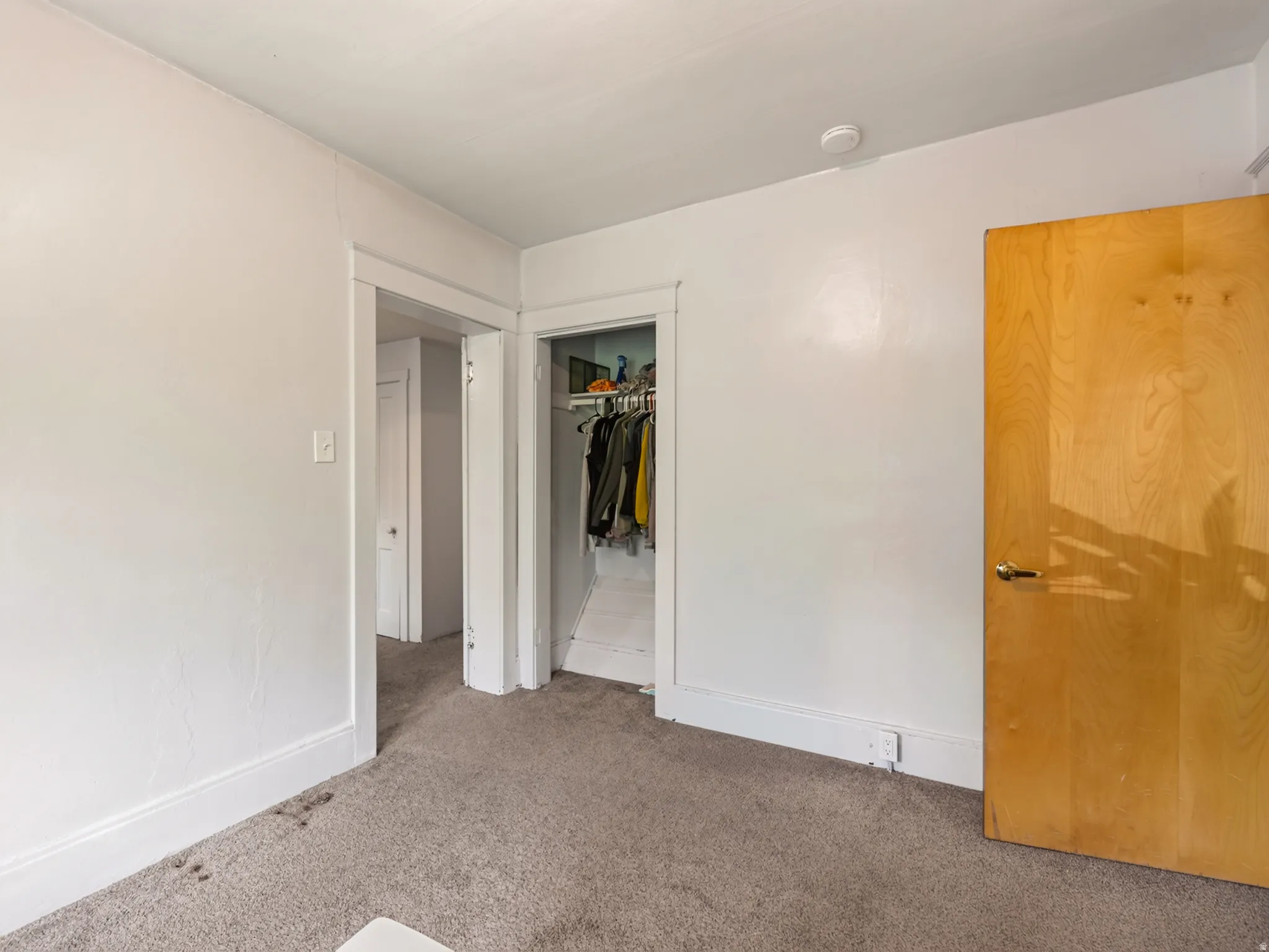 Carpeted room with closet space