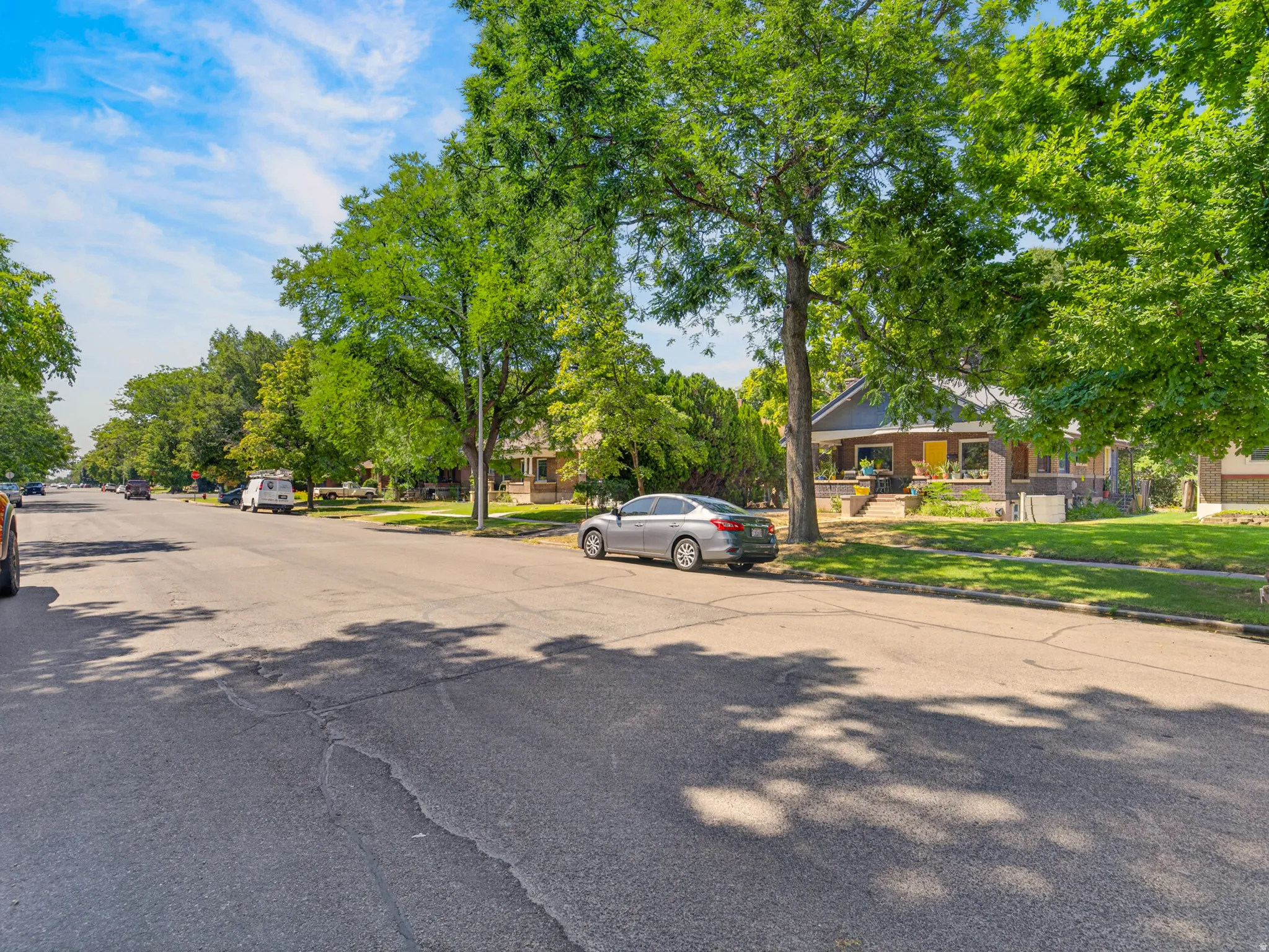 Tree-lined street