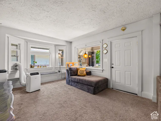 Open living room with lush carpet