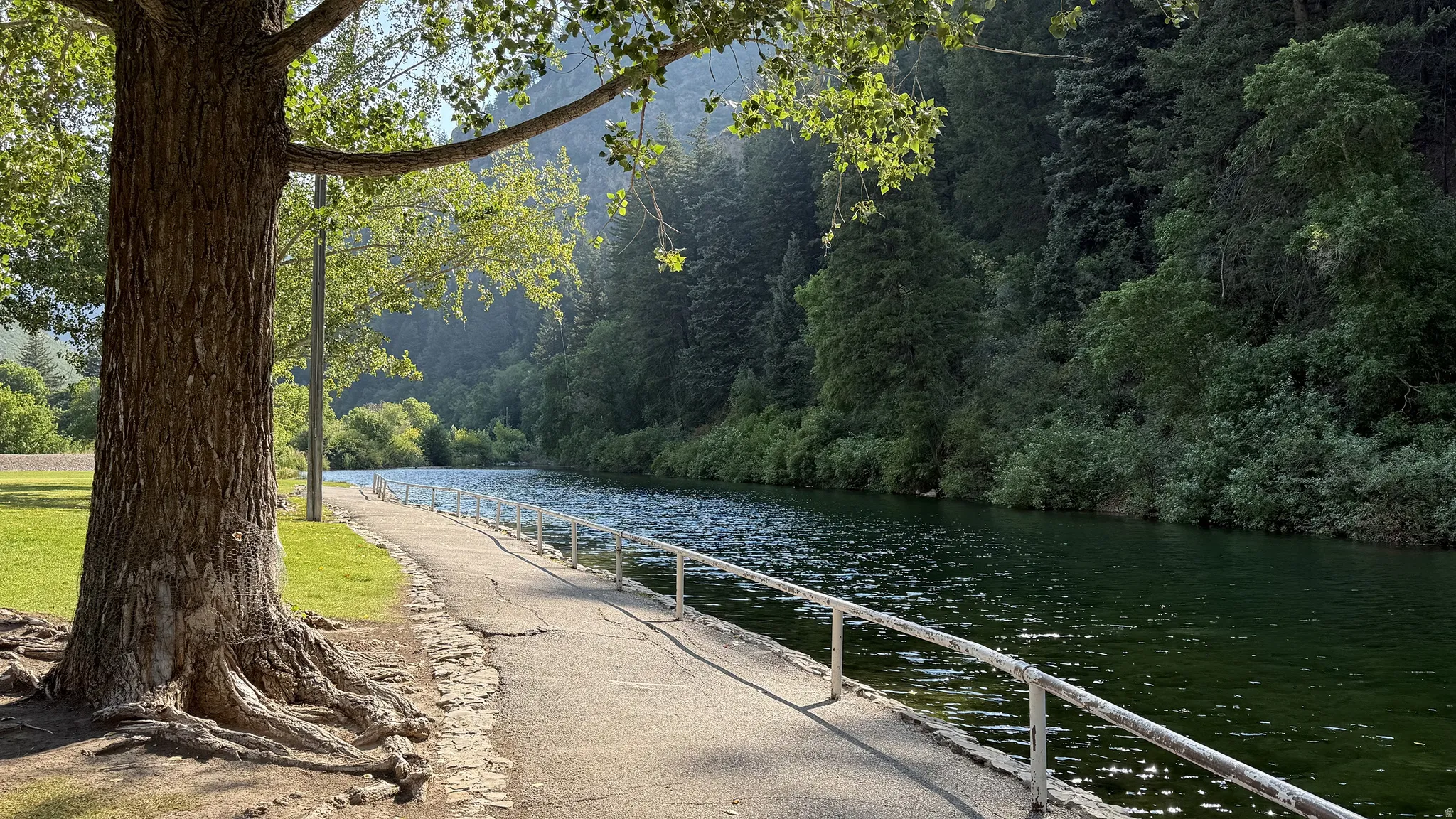 Waterside paved pathway with a continuous safety railing, bordered by mature trees and a grassy area