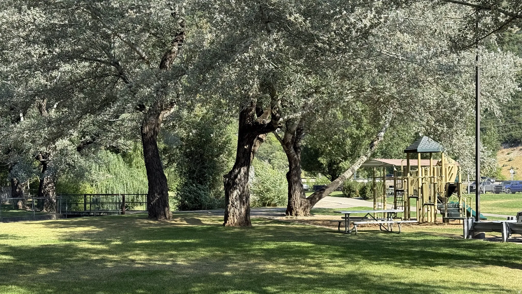 Expansive green lawn featuring mature trees, a children's play structure, and picnic tables