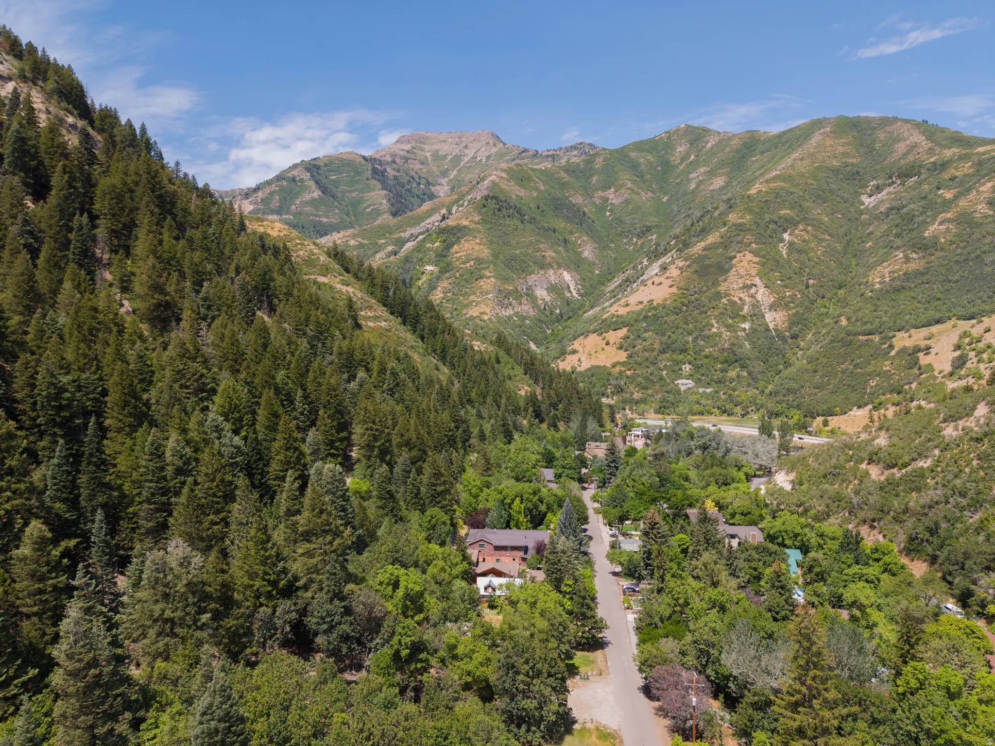 Mountain landscape featuring extensive tree coverage, a central paved road, and scattered residential properties amidst natural terrain