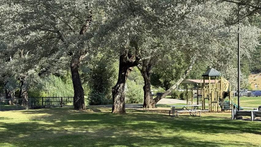 Expansive green lawn featuring mature trees, a children's play structure, and picnic tables
