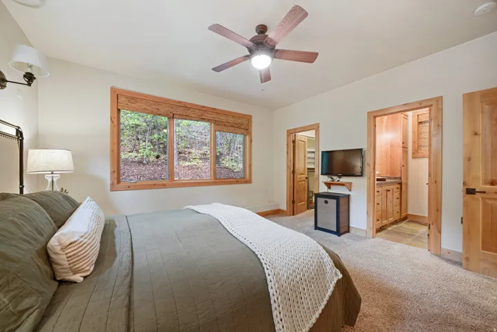 Wall-mounted lighting fixture, ceiling fan, wood-framed windows, wood-finish doors, and wall-mounted television