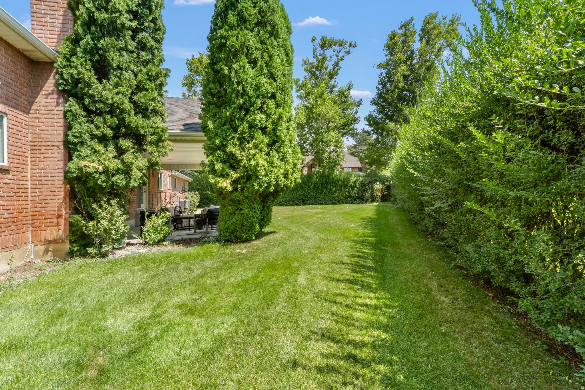 Expansive lawn bordered by mature evergreens and a privacy hedge